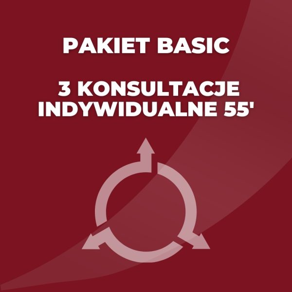 Pakiet BASIC - 3 konsultacje indywidualne