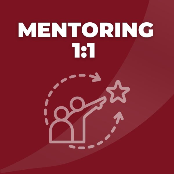Mentoring 1:1